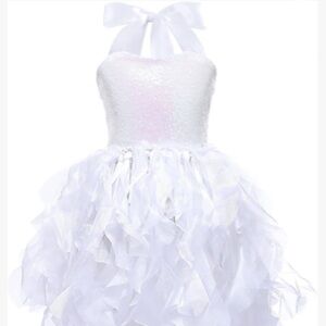 Swan White TuTu Dress